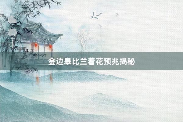 金边皋比兰着花预兆揭秘