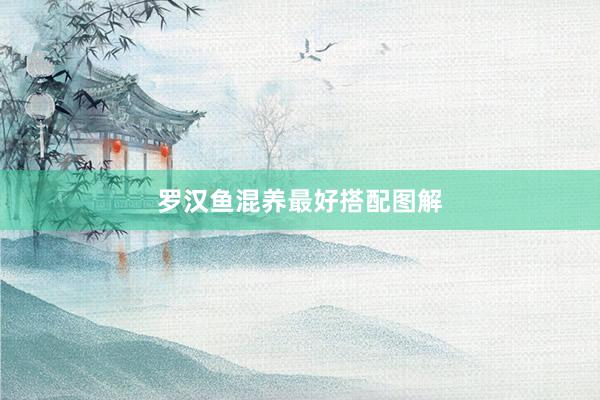 罗汉鱼混养最好搭配图解