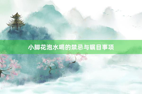小脚花泡水喝的禁忌与瞩目事项